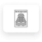 STIMATA logo